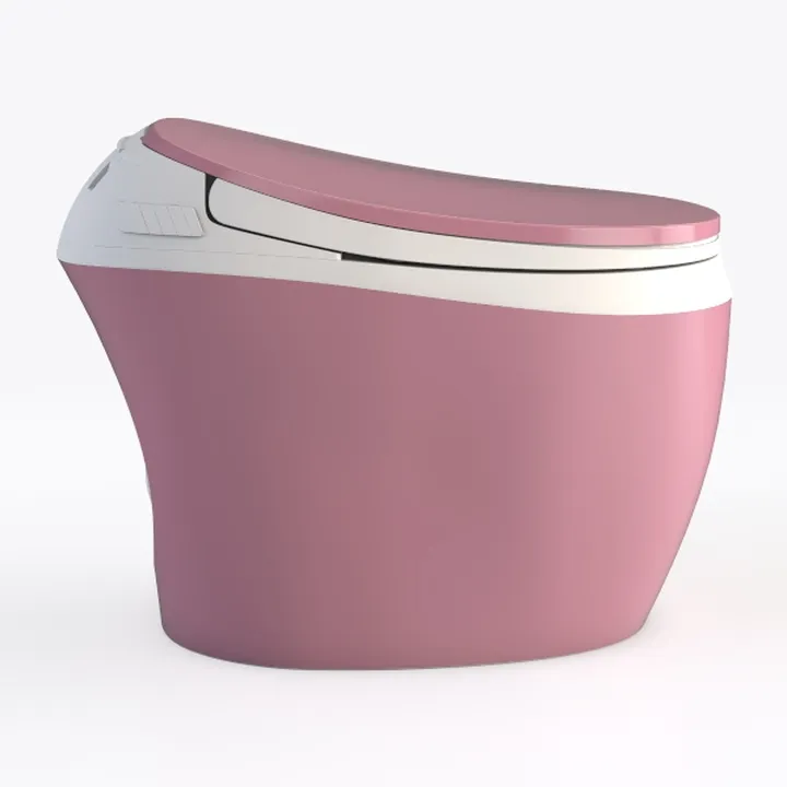 Unique Smart Toilet with Bidet Built In