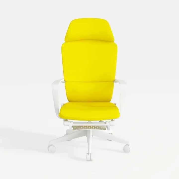 Desk Chair, Modern Style, Home Office Chair, Ergon