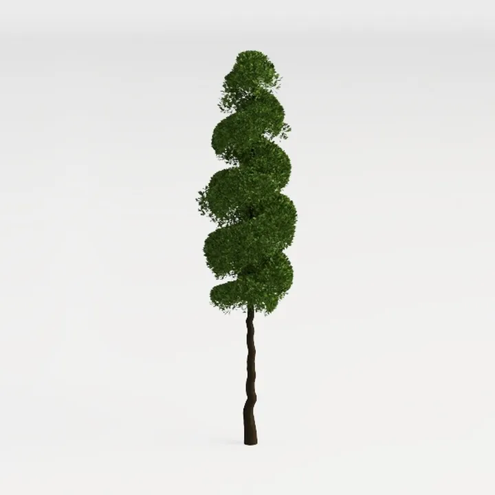 shrub-Cozy Garden Bush & Hedge