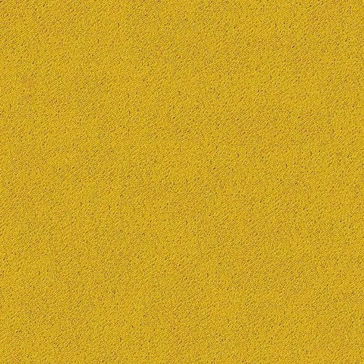 Wall-to-wall Carpet 19
