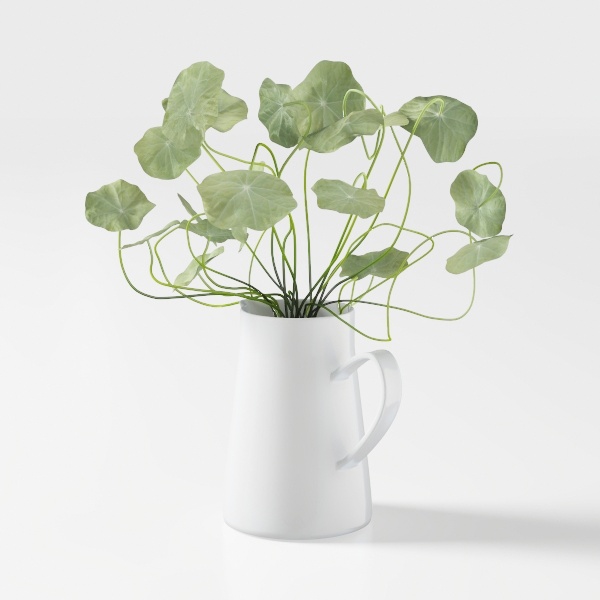 Floral Greenery-plant 1.max