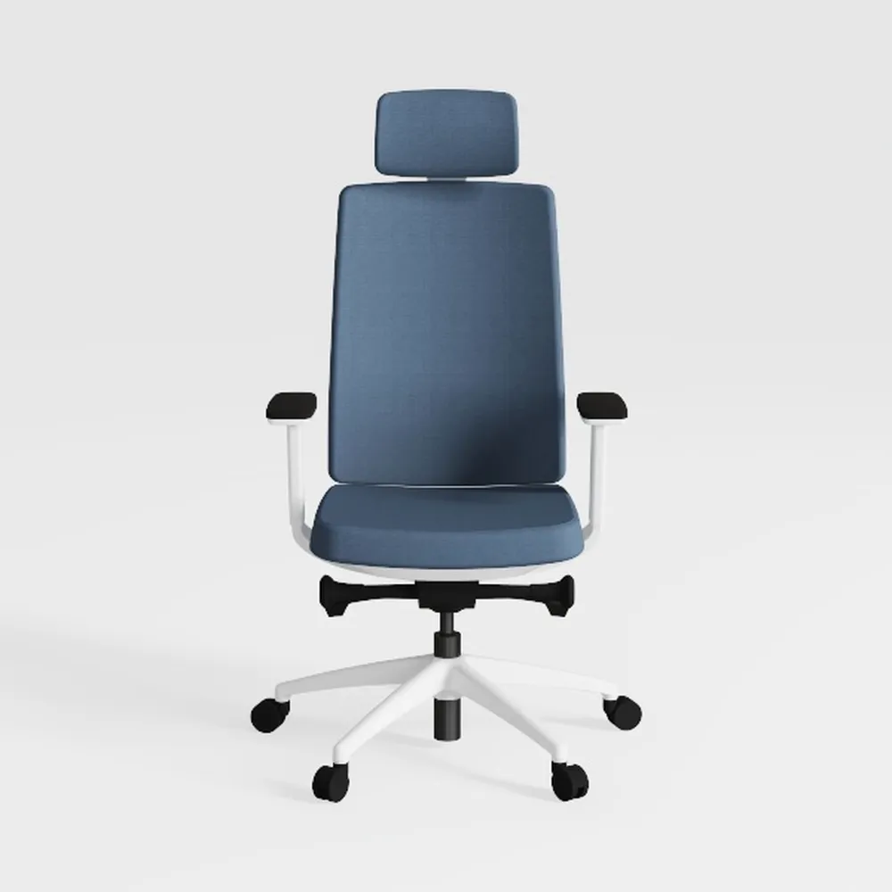 Ergonomic Home & Office Reclining Chair with Lock 