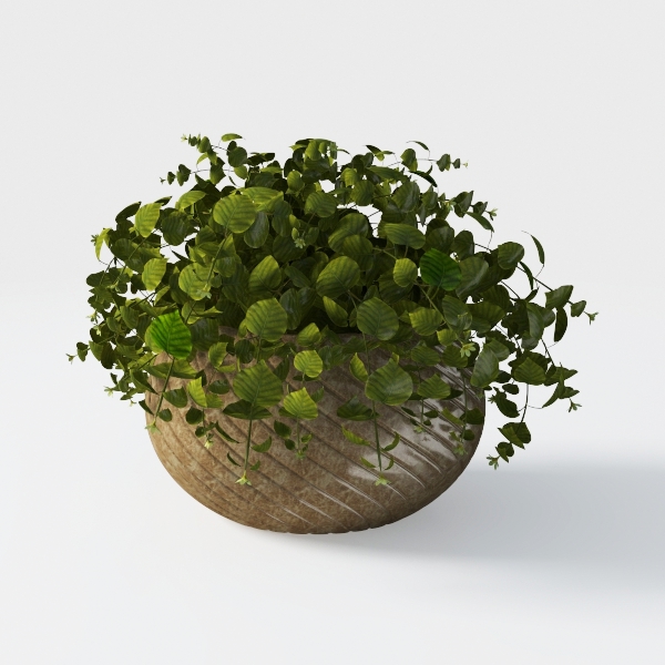 Winlyn 19 Pcs Assorted Artificial Succulents Plant