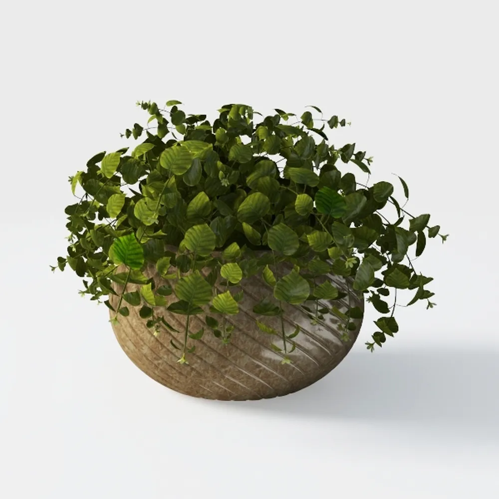 Winlyn 19 Pcs Assorted Artificial Succulents Plant