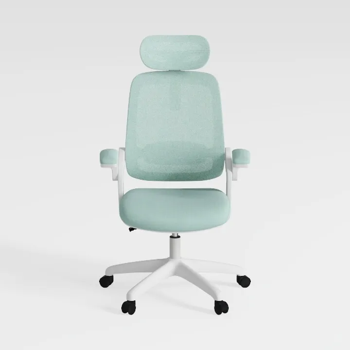 FLEXISPOT Foldex Ergonomic Office Chair, Folding