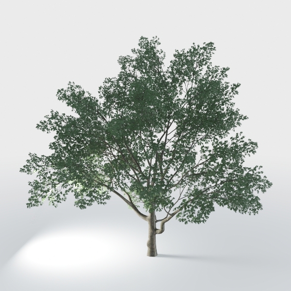 Artificial Palm Tree 6ft, Fake Tropical Palm Tree