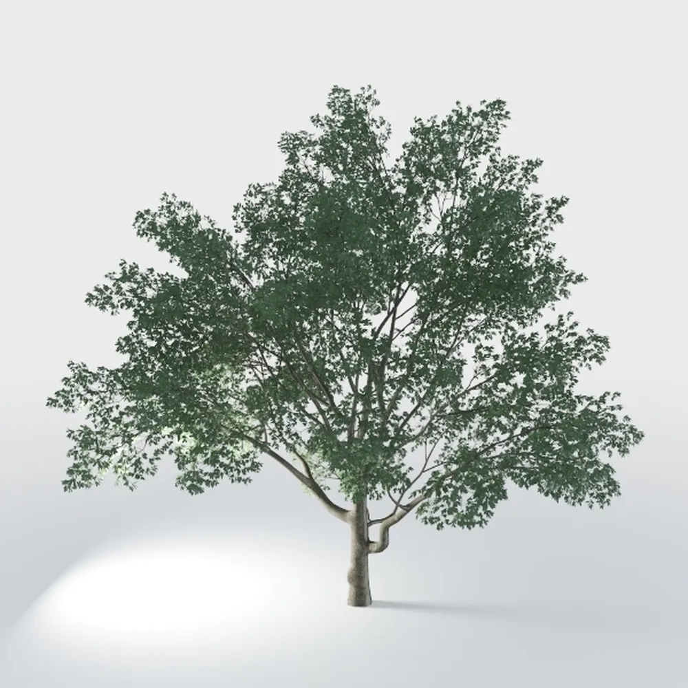 Artificial Palm Tree 6ft, Fake Tropical Palm Tree