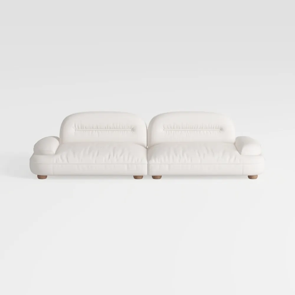 Morden Fort 2 Piece Cloud Couch Set, Modern