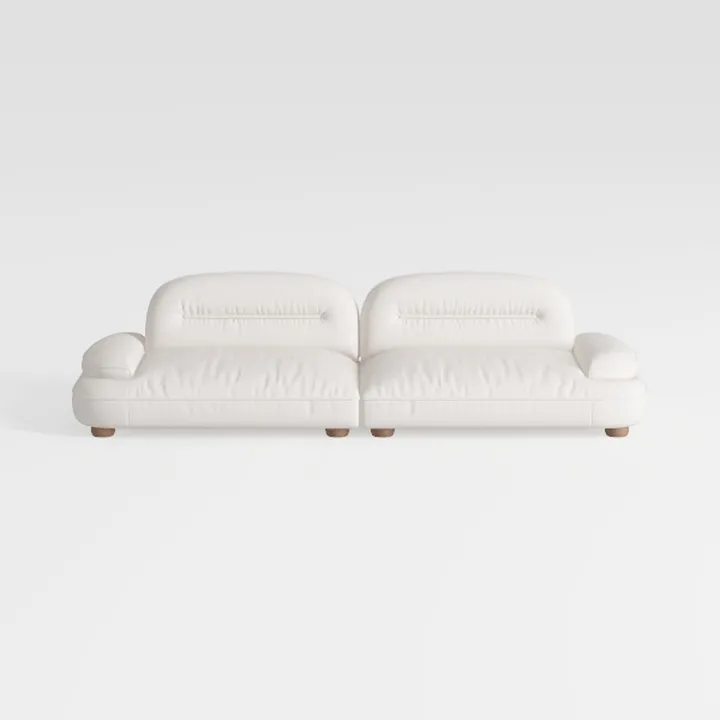 Morden Fort 2 Piece Cloud Couch Set, Modern