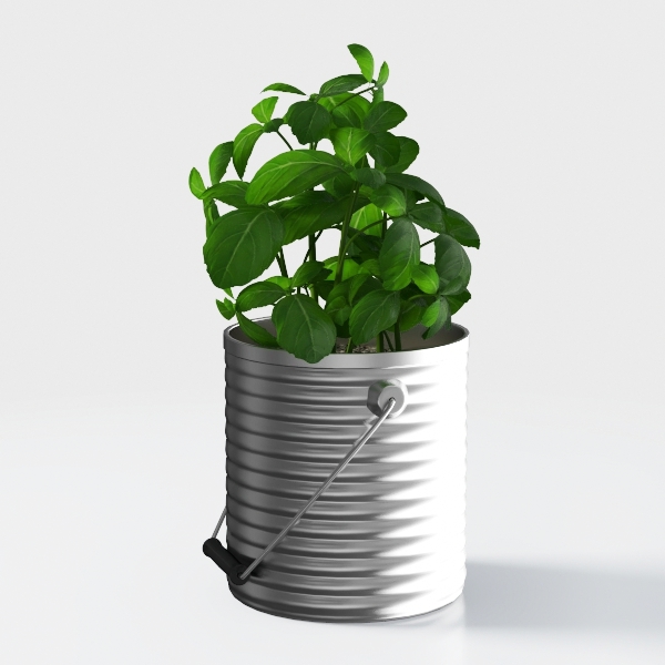 Costa Farms Baltic Blue Live Pothos Plant, Live