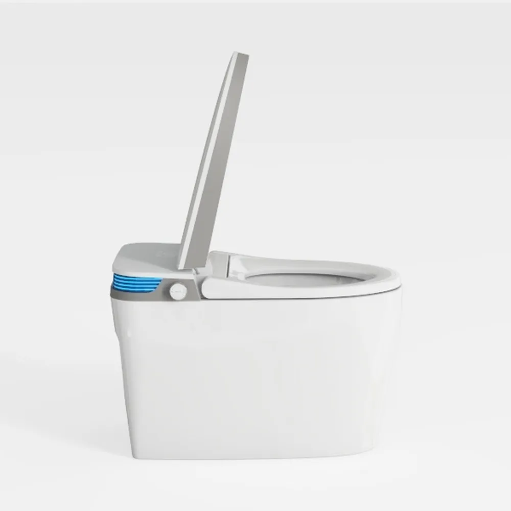 Smart Toilet with Bidet Built In ADA Height 17.7