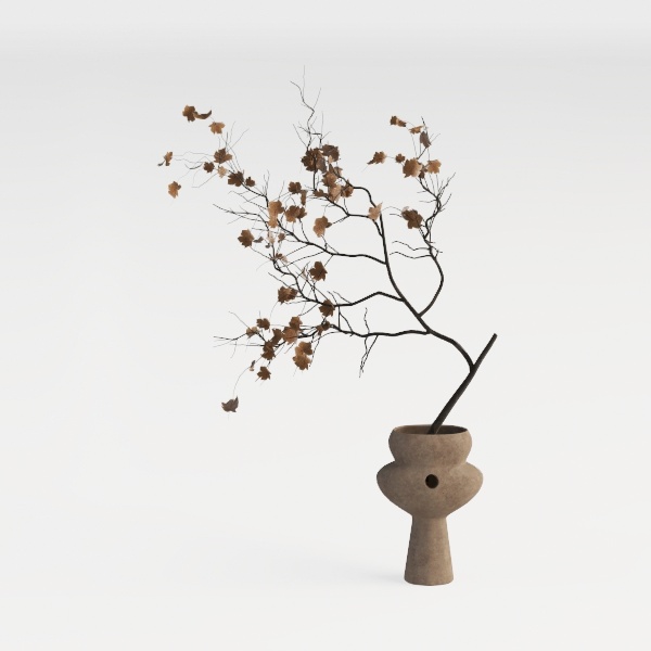 Midnight in Paris-plant