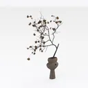 null Right 45 Degree View