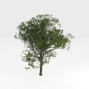 Open-air Cafe-location model 2.max