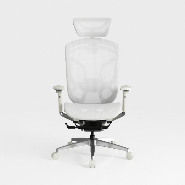 Ergonomic Office Chair with Headrest 3D, Mesh