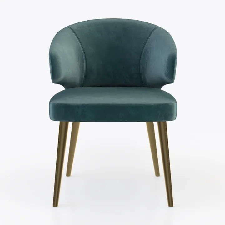 1 Pcs Velvet Dining Chairs,for Living Room Bedroom