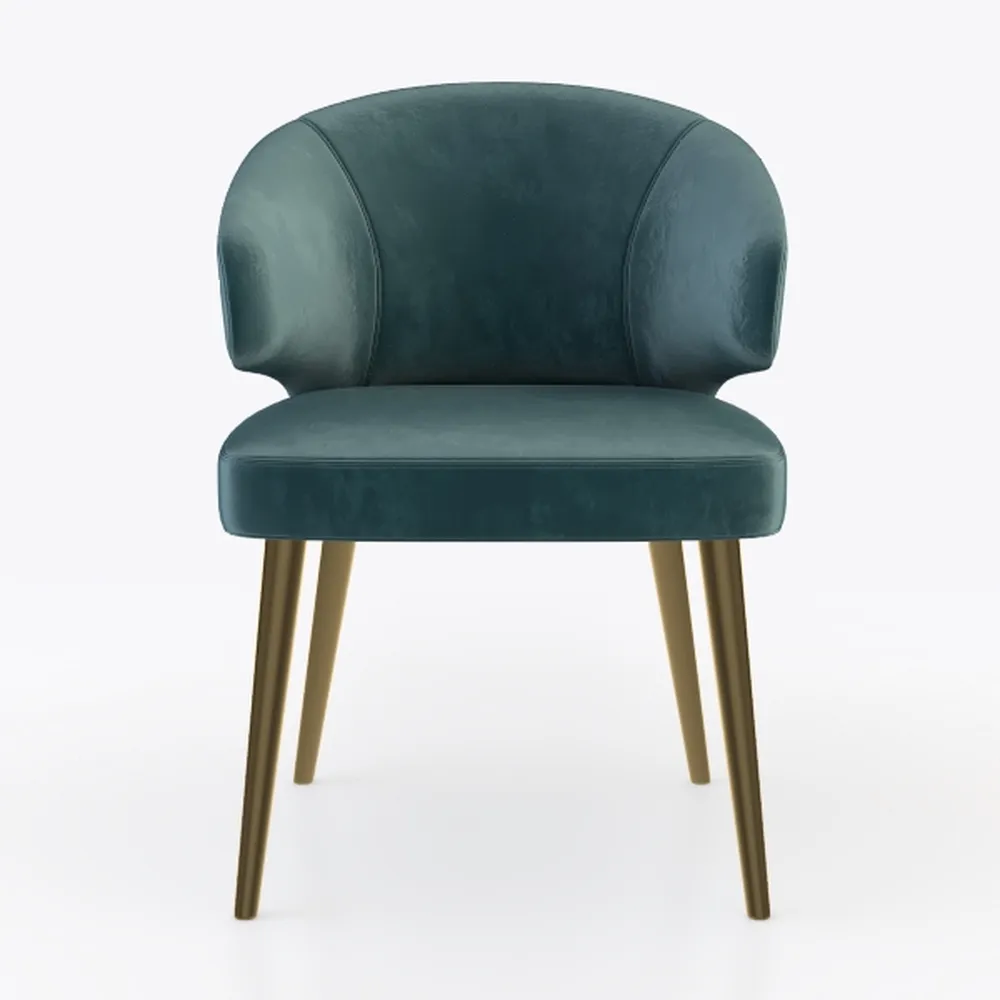 1 Pcs Velvet Dining Chairs,for Living Room Bedroom