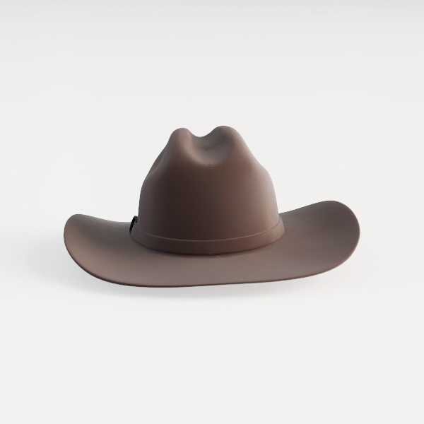 cow boy hat-premium quality