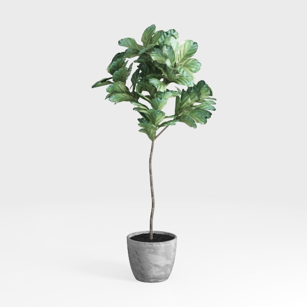 Artificial Eucalyptus Tree 5ft Tall, Modern Fake