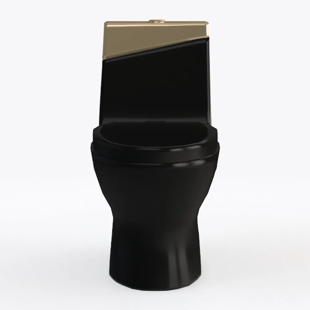 Compact One Piece Toilet Matte Black, Space-Saving