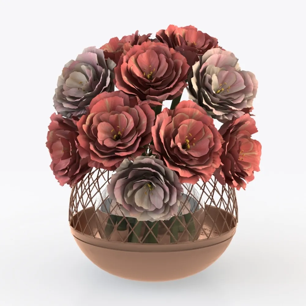 String of Pearls (4-inch), Succulents Plants Live,