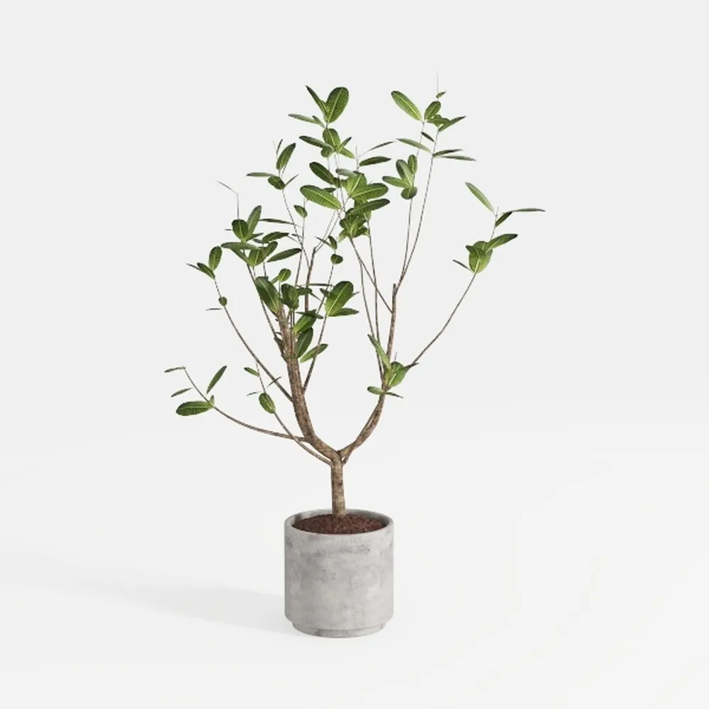 Aveyas 5ft Artificial Eucalyptus Tree for Home