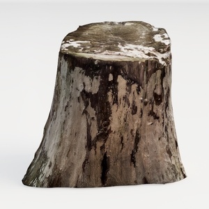 stump-Botanical Home