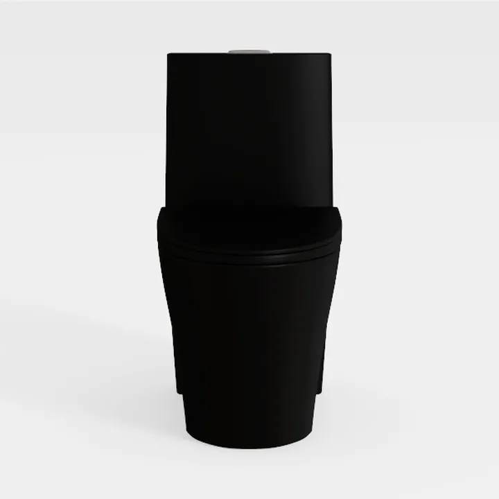 One Piece Toilet For Bathroom, Dual Flush Toilet