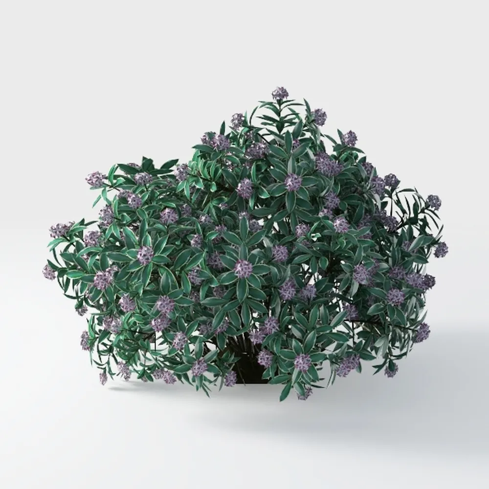 21.6" Artificial Lavender Topiary Trees Set of 2,