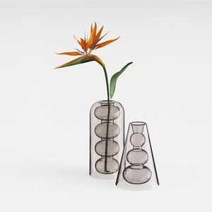 plant-Translucent Home