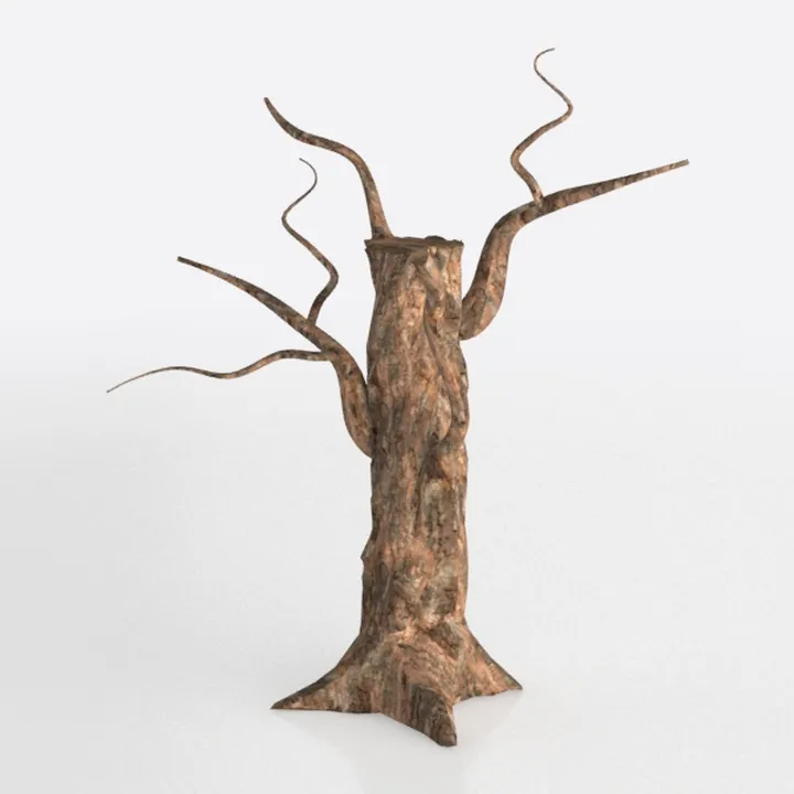 tree-Outdoor Odyssey
