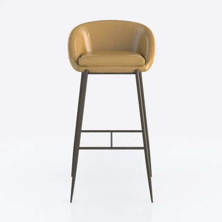 Mira Contemporary Modern Bar Stool in Distressed T