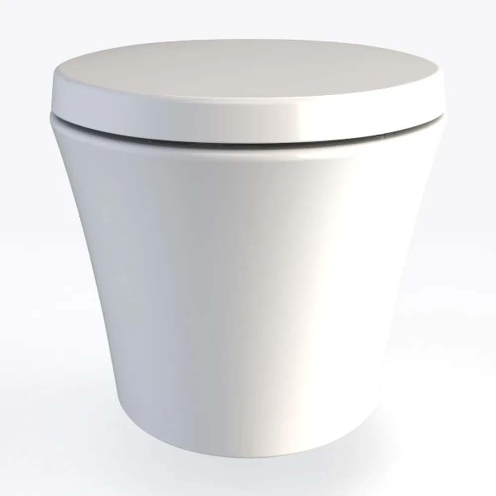 Smart Toilet with Bidet Built in, Luxury One Piece