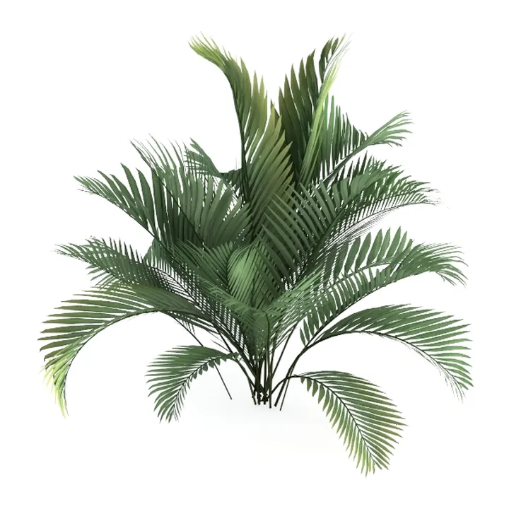 Realistic Green Potted Palm Plant Indoor Decor 3D Model