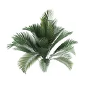 Realistic Green Potted Palm Plant Indoor Decor 3D Model Right 45 Degree View