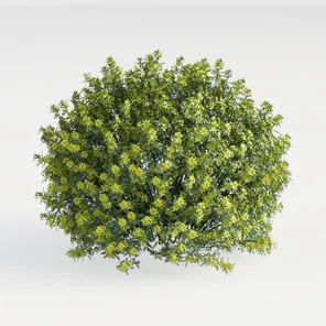 model review img 3