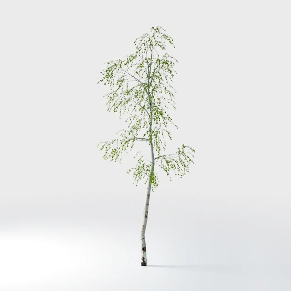 Phimos Artificial Olive Tree Tall Fake Potted