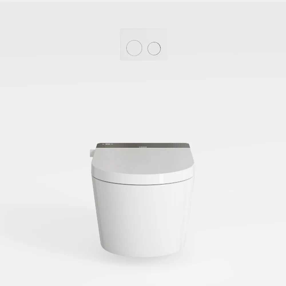 Luxury Smart Toilet with Bidet Built In, Bidet