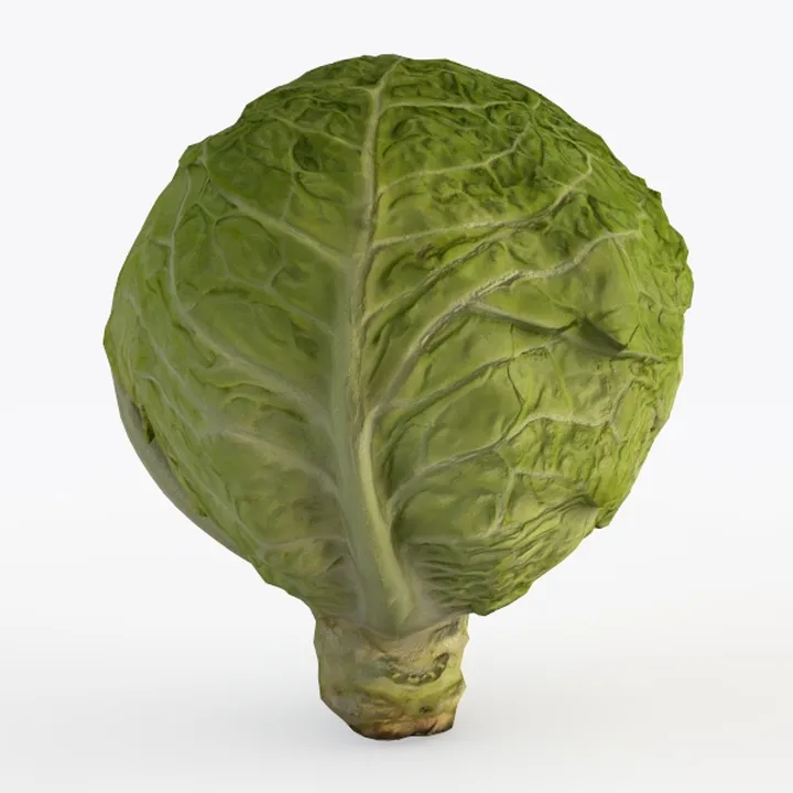 cabbage