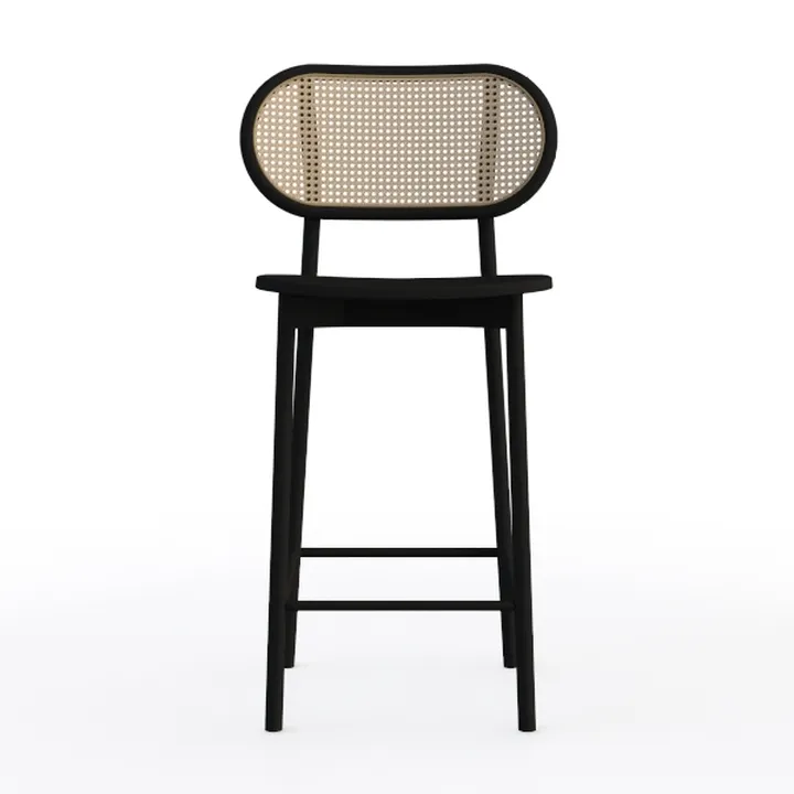 EALSON Rattan Dining Chairs Set of 2 Curved Back