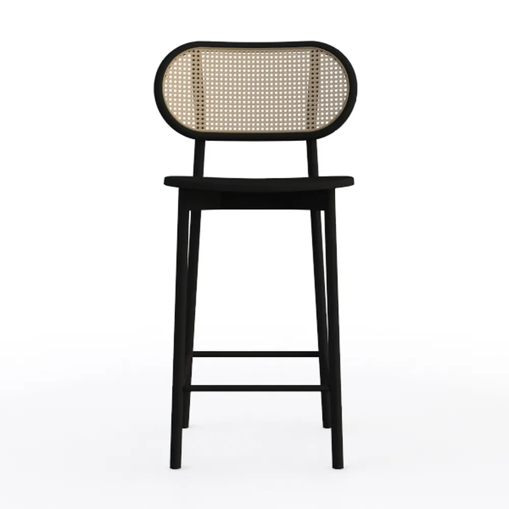 EALSON Rattan Dining Chairs Set of 2 Curved Back