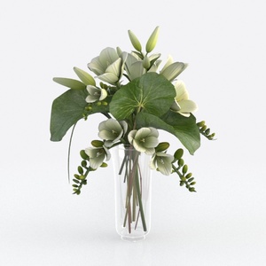 plant-Back to School 2024