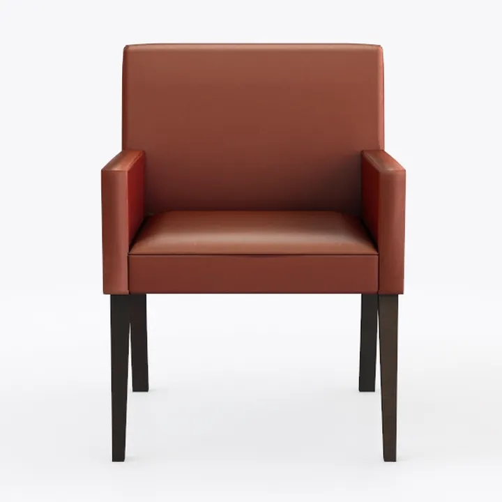 Walnut Finish Sleek Design Accent Chair Brown Faux
