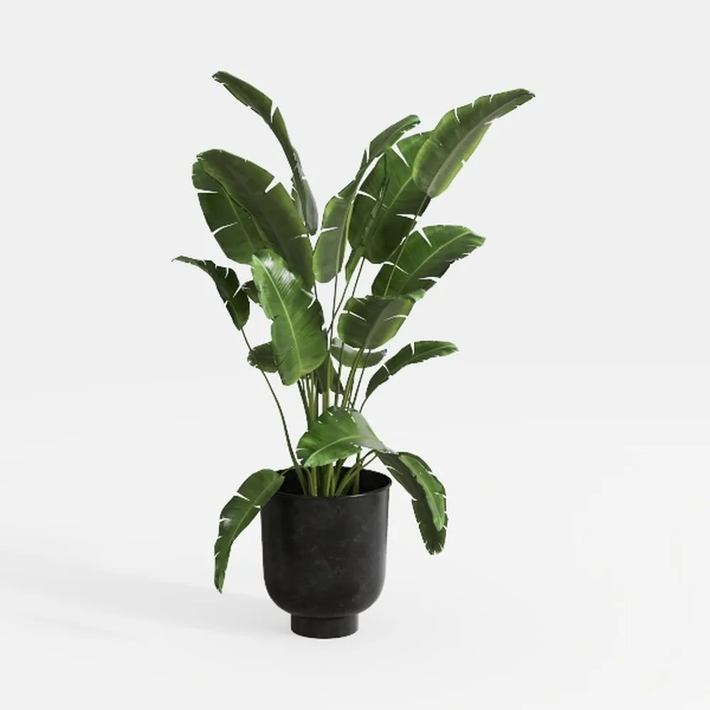 Artificial Bird of Paradise Plant 8Ft Fake