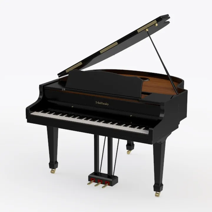 Musical Instrument 369