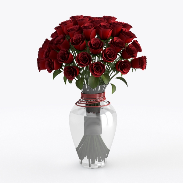 Red rose - Plant N-25