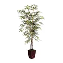 null Left 45 Degree View