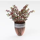 null Right 45 Degree View