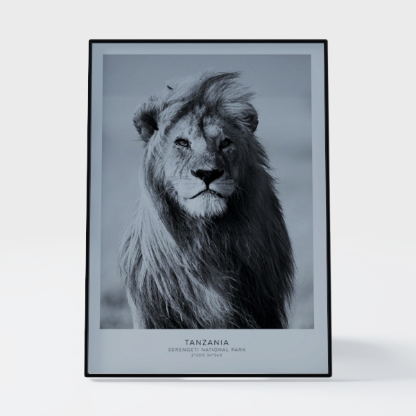 photo album-Animal Home Décor