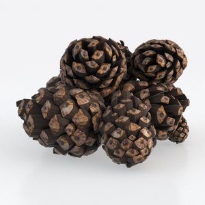 decoration-Fluttering Blooms